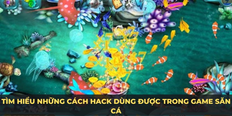 Tìm hiểu những cách hack dùng được trong game săn cá